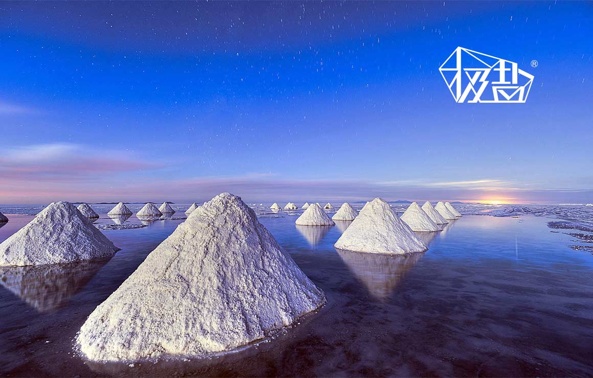 极盐食盐日化品logo设计案例